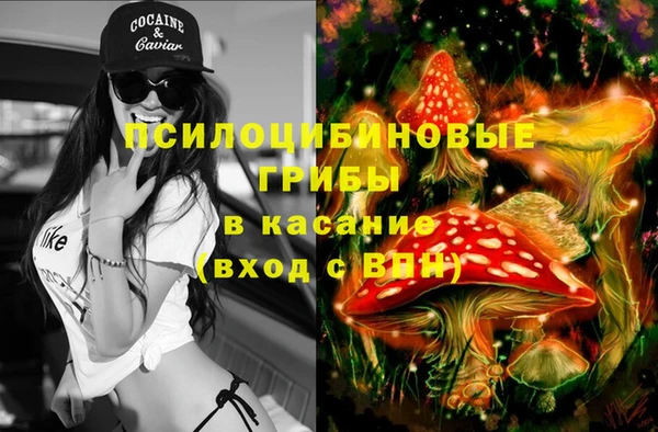 соль курить ск Алзамай