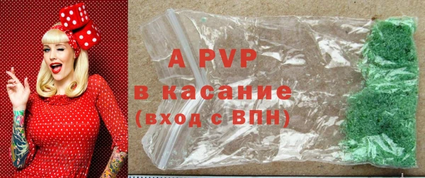 гашик Арсеньев